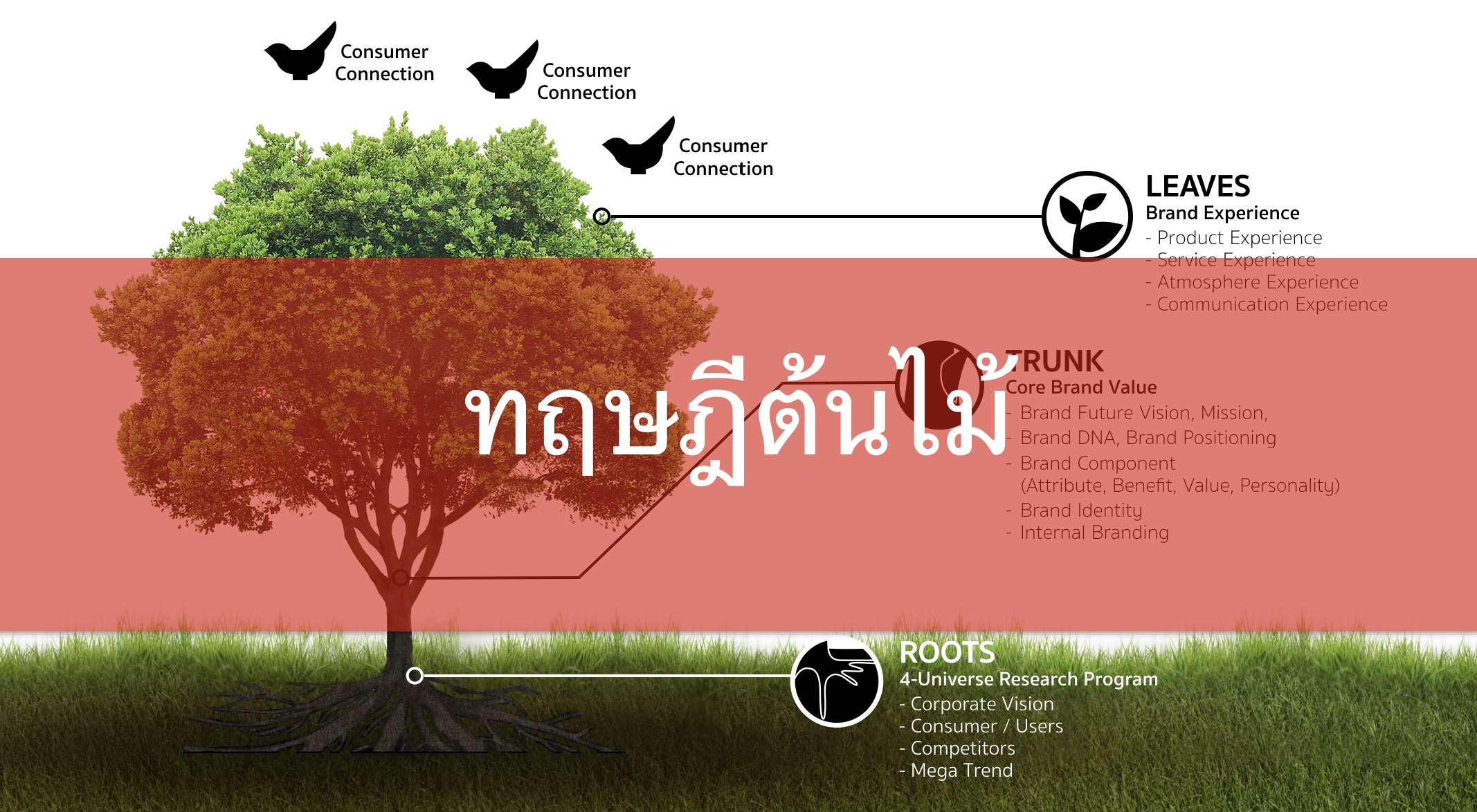 ทฤษฎีต้นไม้